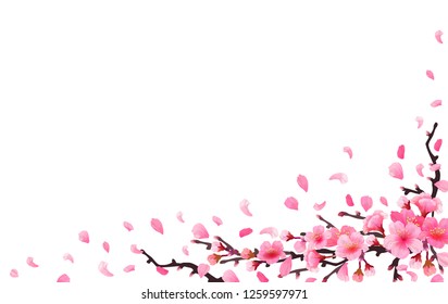 Cherry Blossom Transparent Background Images Stock Photos Vectors Shutterstock