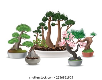 Realistic japanese bonsai tree composition with blooming sakura in flower pot vector illustration