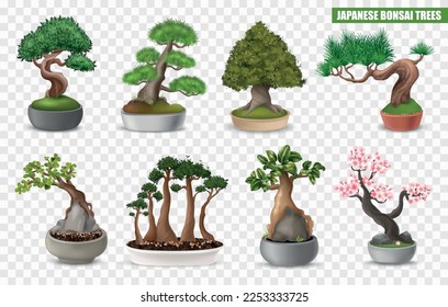 Realistic japanese bonsai tree icons set on transparent background isolated vector illustration