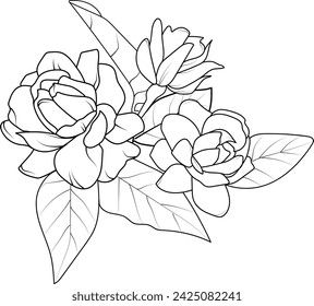 realistic jasmine flower drawing, art jasmine flowers drawing, line art simple jasmine flower drawing, realistic gerdeniab flowers pencil drawing, gerdenia flowers tattoo