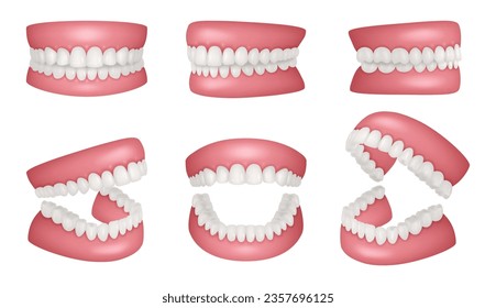 Realistic jaws. Human anatomy jaw healthy teeth collection decent vector realistic templates set