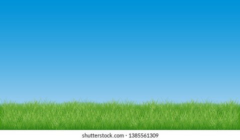 realistic juicy green grass against clear blue sky without clouds