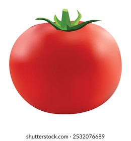 Realistic juicy red hot tomato vegetable vector illustration.