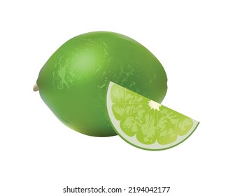 Realistic of key lime. Detailed illustration. 