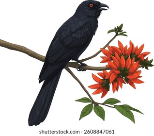Realistic Koha Bird with Erabadu Flowers – Sinhala and Tamil New Year Vector Design ,Sinhala Aluth Avurudu Design | Asian Koel on Flame Tree Branch Vector