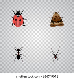 Realistic Ladybird, Ant, Butterfly And Other Vector Elements. Set Of Bug Realistic Symbols Also Includes Ladybird, Butterfly, Arachnid Objects.