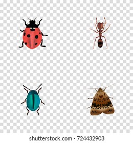 Realistic Ladybird, Bug, Butterfly And Other Vector Elements. Set Of Insect Realistic Symbols Also Includes Pismire, Emmet, Bug Objects.