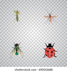 Realistic Ladybird, Gnat, Grasshopper And Other Vector Elements. Set Of Bug Realistic Symbols Also Includes Alive, Mantis, Ladybug Objects.