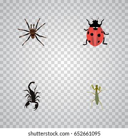 Realistic Ladybird, Grasshopper, Poisonous And Other Vector Elements. Set Of Bug Realistic Symbols Also Includes Ladybug, Poisonous, Scorpion Objects.