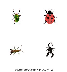Realistic Ladybird, Insect, Poisonous And Other Vector Elements. Set Of Animal Realistic Symbols Also Includes Ladybird, Locust, Insect Objects.