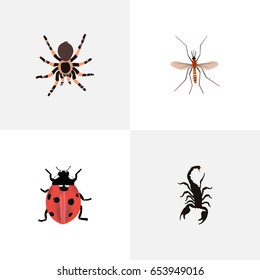 Realistic Ladybird, Poisonous, Gnat And Other Vector Elements. Set Of  Realistic Symbols Also Includes Alive, Tarantula, Insect Objects.
