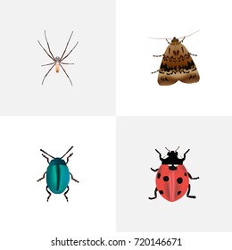 Realistic Ladybird, Spider, Bug And Other Vector Elements. Set Of Insect Realistic Symbols Also Includes Arachnid, Insect, Ladybird Objects.