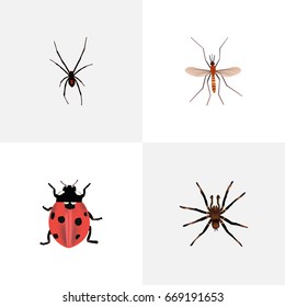Realistic Ladybird, Spinner, Arachnid And Other Vector Elements. Set Of Insect Realistic Symbols Also Includes Mosquito, Gnat, Tarantula Objects.