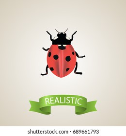 Realistic Ladybug Element. Vector Illustration Of Realistic Ladybird Isolated On Clean Background. Can Be Used As Ladybird, Ladybug And Insect Symbols.