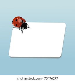Realistic ladybug on piece of paper (eps10)