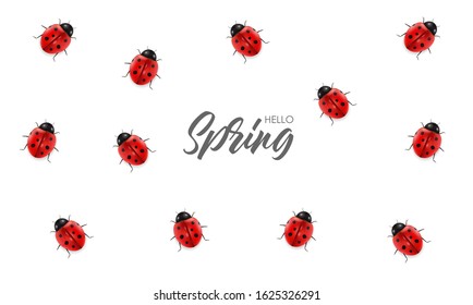 Realistic ladybug set isolated, hello spring, sale banner, red insect, beauty ladybug detail, white background vector, graphic spring card