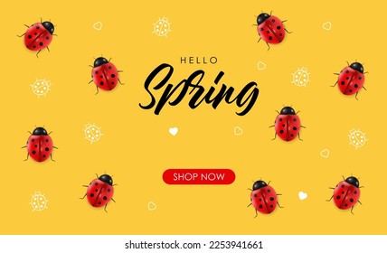 Realistische Ladybug-Set einzeln, hallo-Feder, Verkaufsbanner, rotes Insekt, Schönheitsladybug-Vektorgrafik, gelber Hintergrund, Grafikkarte