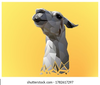 Realistic lama illustration in polygonal style on yellow gradient background