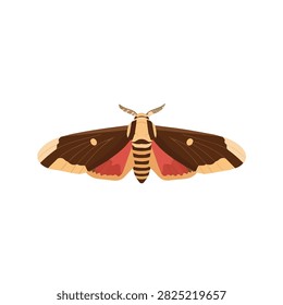 Realistic Large Brown Moth Vector Illustration with Pink Accents Isolated on a Plain White Background