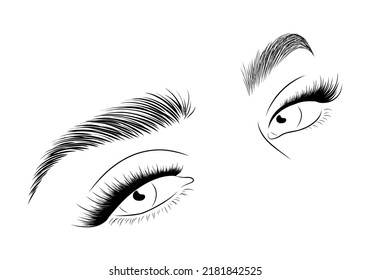 Realistic lashes on white background. Female woman with open eyes and brows icon. Lamination and extension eyelashes. Beauty studio logo. Linear vector Illustration in trendy minimalist style.