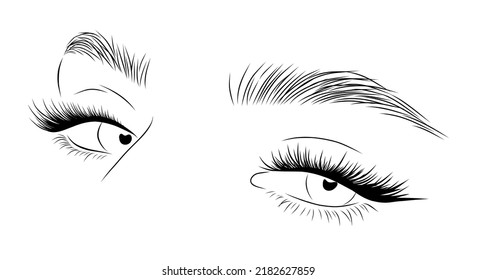 Los azotes realistas sobre el fondo blanco. Los ojos y las cejas de las mujeres son un icono. Laminación y pestañas de extensión. Logo del estudio de belleza. Vector lineal Ilustración en estilo moderno minimalista.