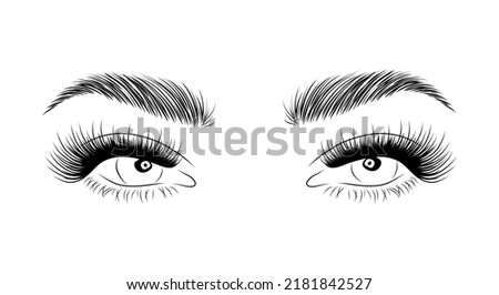 Realistic lashes on white background. Female woman with open eyes and brows icon. Lamination and extension eyelashes. Beauty studio logo. Linear vector Illustration in trendy minimalist style.