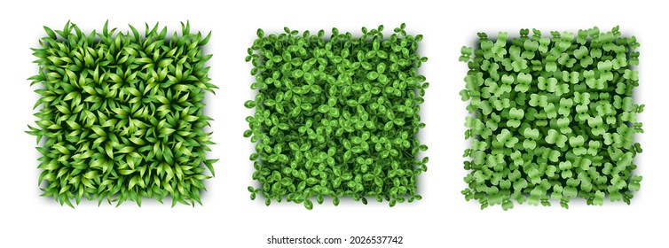 Realistic lawn green grass texture, organic seamless floral patterns. Squares with turf carpet isolated on white background. 3d design vector illustration