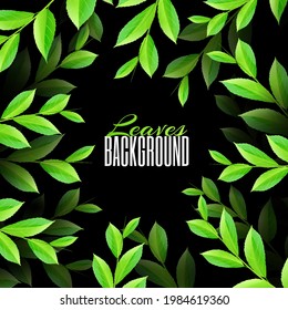 Realistic Leaf in a circle. Spring or summer. Overgrown tree branches with fresh green leaves. Advertising card or invitation. Dark background and place for text.