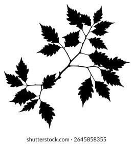 Realistic Leaf Cluster - Black Botanical Vector for Eco Designs, Autumn Invitations, or Environmental Poster Art