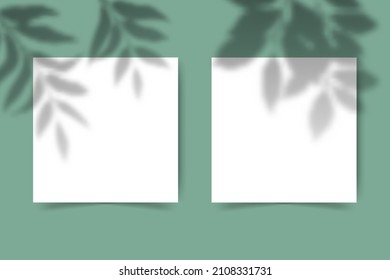 realistic leaf shadow effect background