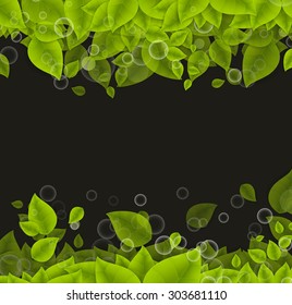 Realistic Leaves Background with  Space
