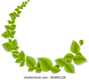 Realistic Leaves Background with  Space
