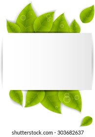 Realistic Leaves Background with  Space
