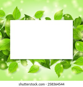 Realistic Leaves Background with White Space. Vector Illustration