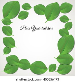Realistic leaves on white background. Vector art.