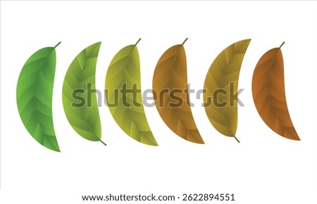  Realistic Leaves in six different color, Leaf Color Progression, vector illustration.