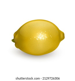 Realistic lemon on white background, vector format