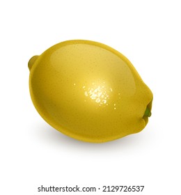 Realistic lemon on white background, vector format