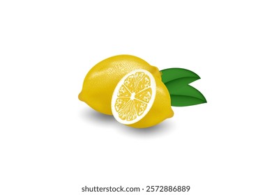 Realistic Lemon, Sliced lemon vector illustration on white background.