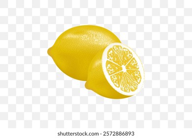 Realistic Lemon, Sliced lemon vector illustration on transparent background.