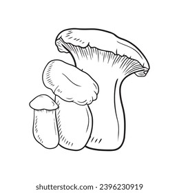 Realistic leurotus eryngii in black isolated on white background. Hand drawn vector sketch illustration in doodle vintage engraved style. Concept of japanese tasty delicious gourmet for cooking.