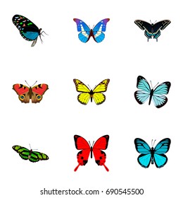 Realistic Lexias, Archippus, Morpho Hecuba And Other Vector Elements. Set Of Butterfly Realistic Symbols Also Includes Moth, American, Julia Objects.