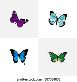 Realistic Lexias, Butterfly, Common Blue And Other Vector Elements. Set Of Butterfly Realistic Symbols Also Includes Green, Beautiful, Purple Objects.