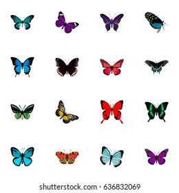Realistic Lexias, Pipevine, Morpho Hecuba And Other Vector Elements. Set Of Butterfly Realistic Symbols Also Includes Pink, Fly, Blue Objects.