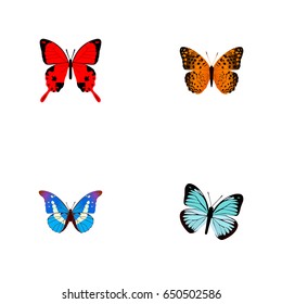 Realistic Lexias, Sangaris, Bluewing And Other Vector Elements. Set Of Beautiful Realistic Symbols Also Includes Monarch, Orange, Morpho Objects.