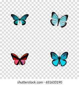 Realistic Lexias, Sky Animal, Callicore Cynosura And Other Vector Elements. Set Of Butterfly Realistic Symbols Also Includes Bluewing, Butterfly, Sky Objects.