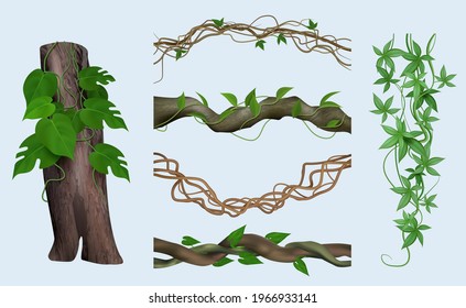 Lianas realistas. Plantas botánicas exóticas torcidas tendriles leñosos escalada verde jungla ilustraciones vectoriales decentes aisladas