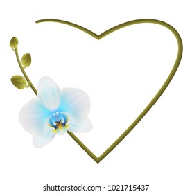 Realistic light blue orchid frame, heart.