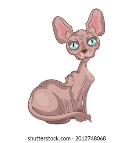 Realistic light sphinx cat sitting on a white background - Vector illustration