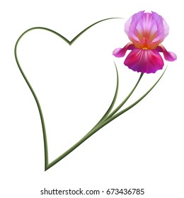 Realistic lilac iris, romantic frame, the symbol of friendship and fidelity. 
